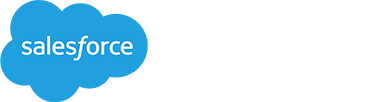 Salesforce Consulting Partner